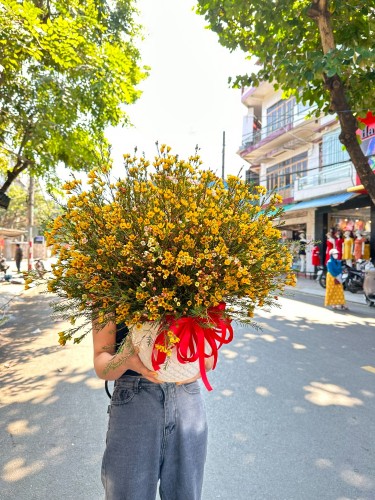 Bình hoa thanh liễu